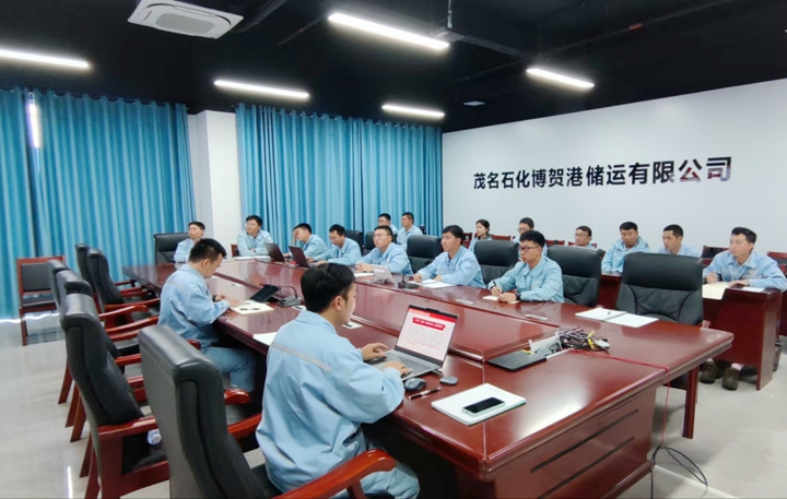 凝心聚力担使命 踔厉奋发启新程——共青团茂名石化博贺港储运有限公司支部委员会召开2024年组织生活会